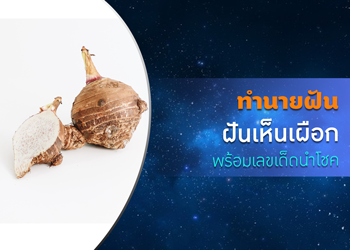 ทำนายฝัน ฝันเห็นเผือก พร้อมเลขเด็ดนำโชค