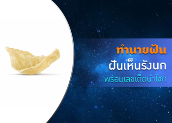 ทำนายฝัน ฝันเห็นรังนก พร้อมเลขเด็ดนำโชค