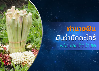 ทำนายฝัน ฝันว่าปักตะไคร้ พร้อมเลขนำโชค 