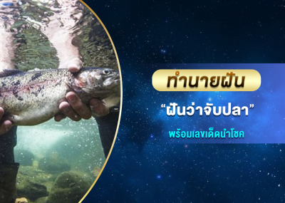 ทำนายฝัน ฝันว่าจับปลา พร้อมเลขเด็ดนำโชค