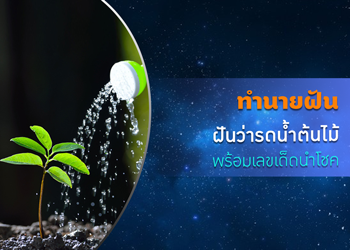 ทำนายฝัน ฝันว่ารดน้ำต้นไม้ พร้อมเลขนำโชค