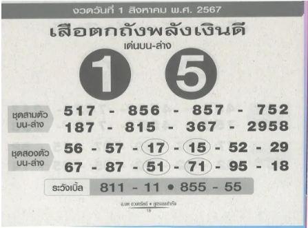 เสือตกถังพลังเงินดี