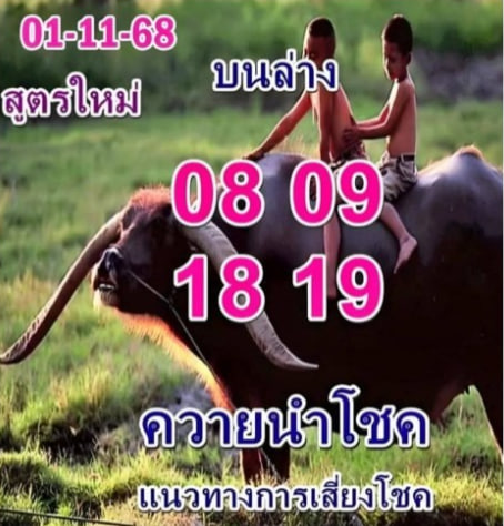หวยควายน้ำโชค