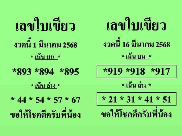 เลขใบเขียว