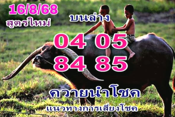 หวยควายน้อยให้โชค
