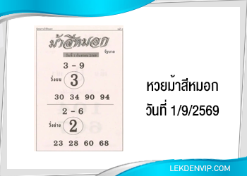 แนวทางหวยม้าสีหมอก 1/9/2569